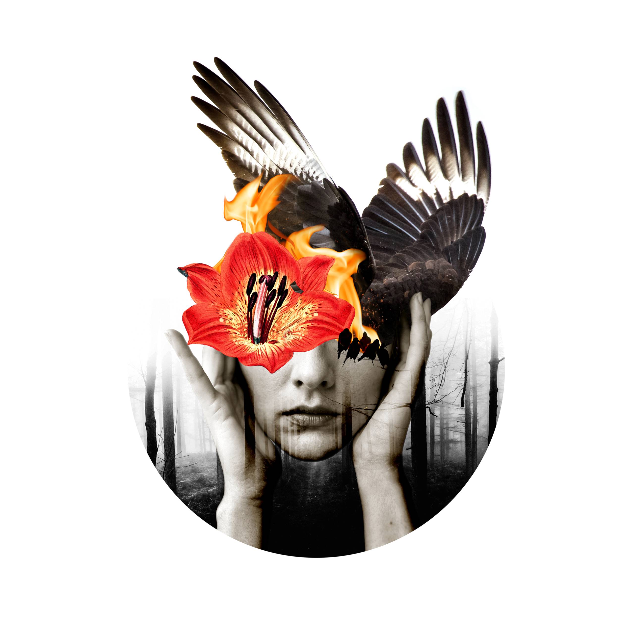 Collage: el viaje onírico que ilumina el arte de Lorena Córdova